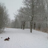 Kerstvakantie, prachtig dat sneeuw