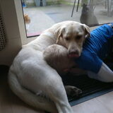 Foto van Marjolein en Noa en kleine Levi