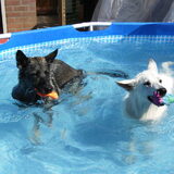 Mindy en Irza in het zwembad.