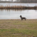 Foto van jessie