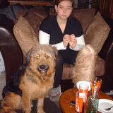 Foto van liesbeth,Turbo,Luna, Levi en Faith
