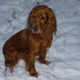 Foto van debby