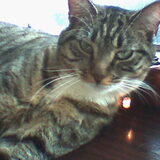 Dit is titus
