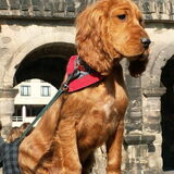 Foto van debby