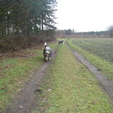 Duuk heeft het wel gehad met dit soort foto's ;)