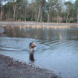 als er water is moet levi er even in......
