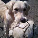 altijd spelen.. ;)