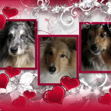 Valentijn 2011