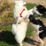 Andor met zn enige beste maatje hihi.