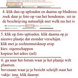 foto's uploaden