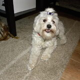 Kaily 2-02-2011