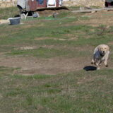 Katie in actie.....