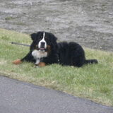 even mooie poseren