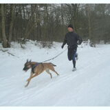 In de duinen van Bakkum pacours Halve van Egmond 2010