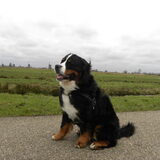 wat een wind joh