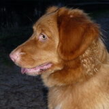 Foto van judith