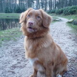 Foto van judith