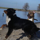 Foto van Erika & Faya  ?BRL?