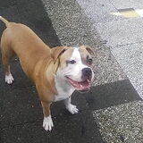 ladyy
