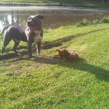 Cuppy en haar GROOOOTE vriend Pacco