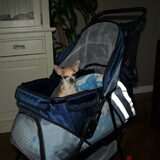 Foto van Brigitte *Joop, Luna  en Jim