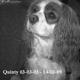 Quinty mijn lieve dwergje