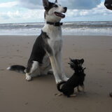 samen met Sky op het strand
