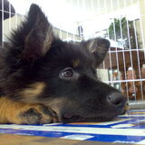 so cute....