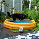 waterpret in de achtertuin!