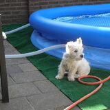 Zomer 2010 bij het zwembad van de baasjes