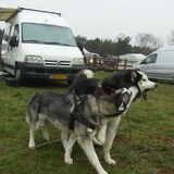 Foto van Ilse ft Dazey, Fay & Mainey