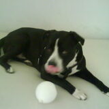 rocco met zijn ballon