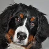 Foto van Pauline