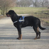 Foto van Hannie met Beer en Chelsea