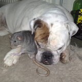 Mike met onze rat Binky;)