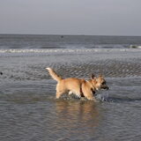 voor de eerste keer in het water
