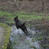Foto van Elke <3 Bo