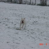 Gucci in de sneeuw