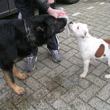 samen met bo water drinken,, na het spelen