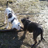 Butch&Tyson