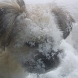 Is het ineens weer winter !!! 23 febr. 2011