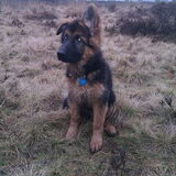 4 maanden