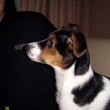 Foto van Joanne