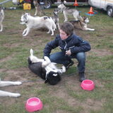 knuffelen met mark (taiga) helden