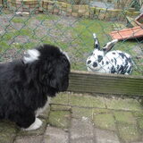 Foto van Merian & Sam