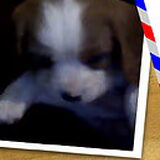 Toen we hem hadden gekocht. =D