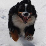 Sneeuwpret afgelopen welnee