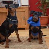 Hugo en Jay-Dee