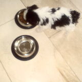 Eten..