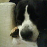 Foto van Lady,,,Melissa,,,Rocco